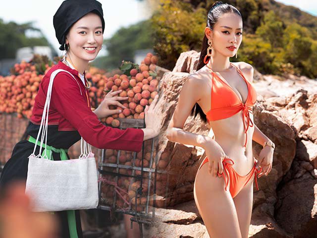 Tiểu Vy làm cô dâu ngọt ngào, nhan sắc không góc chết làm ai cũng đắm say 65 Gái nhà nông ở vùng đất vải thiều cao 1m76, nhan sắc tinh khôi được dự đoán lọt top cao tại Miss World Vietnam 2022