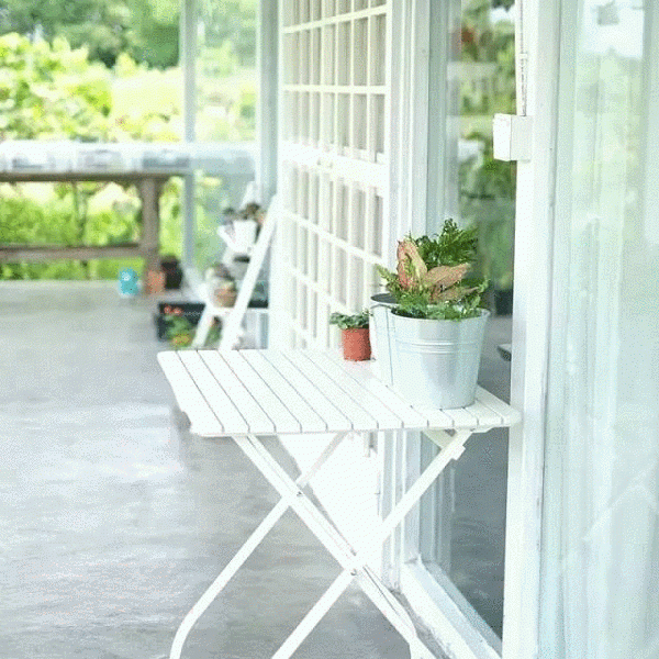 10 tháng tự làm mọi việc, cô gái 19 tuổi biến nhà hoang thành nhà vườn đẹp không tin nổi - 6