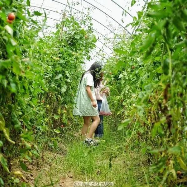 10 tháng tự làm mọi việc, cô gái 19 tuổi biến nhà hoang thành nhà vườn đẹp không tin nổi - 17