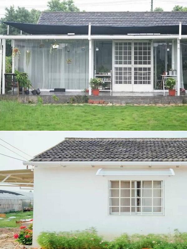 10 tháng tự làm mọi việc, cô gái 19 tuổi biến nhà hoang thành nhà vườn đẹp không tin nổi - 5