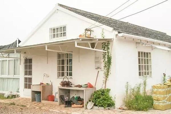 10 tháng tự làm mọi việc, cô gái 19 tuổi biến nhà hoang thành nhà vườn đẹp không tin nổi - 3