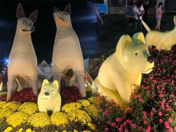 Sau Pikalong Hải Phòng, Tết 2018 xuất hiện Pika - Gâu phiên bản mất sổ gạo ở Tiền Giang
