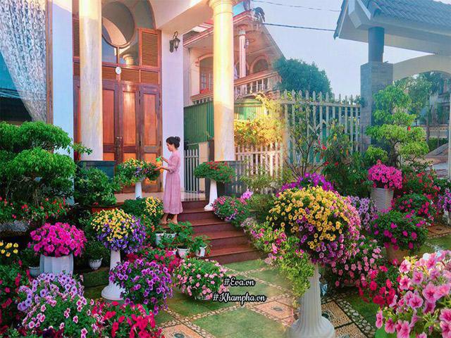 Ngẩn ngơ trước vườn hoa dạ yến thảo rực sắc trước sân nhà của bà mẹ xứ Huế mộng mơ