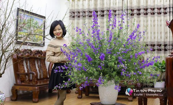 50+ cắm hoa violet đẹp cho không gian thêm phần lãng mạn