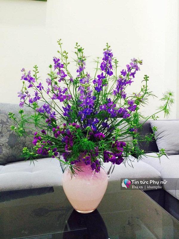 Bình hoa violet đẹp sẽ là sự lựa chọn hoàn hảo cho các buổi tiệc, sinh nhật hay cưới hỏi của bạn. Với vẻ đẹp quyến rũ và thần tiên, nó sẽ trang trí cho không gian của bạn thêm sang trọng và độc đáo.