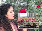Xiêu lòng trước sân thượng rực rỡ hoa hồng của bà mẹ ở Hà Nội Xiêu lòng trước sân thượng rực rỡ hoa hồng của bà mẹ ở Hà Nội