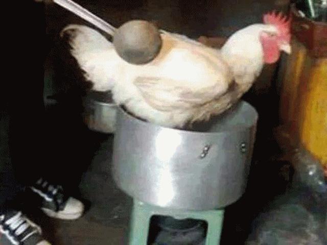Chàng trai thử gói bánh chưng xem bố mẹ có trầm trồ không và cái kết khó ngờ