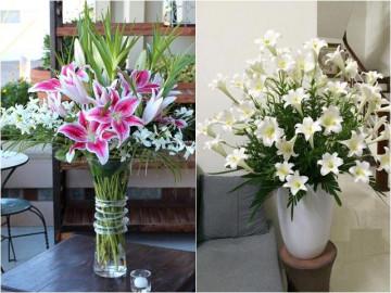 5 loại hoa đắt tiền chứa kịch độc chết người nhà nào cũng chưng Tết, phải bỏ ngay!