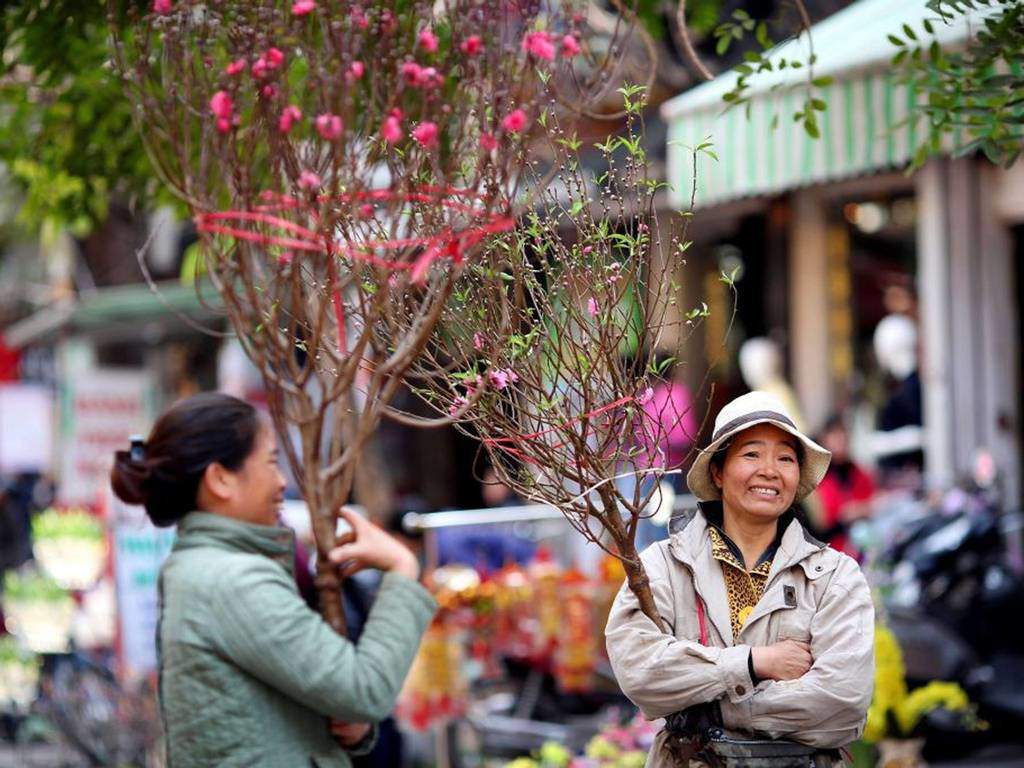 Tết miền Bắc nổi tiếng nhất là những cành hoa đào