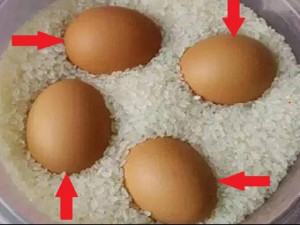 Thấy vợ đặt trứng vào trong thùng gạo cả tháng, chồng tò mò theo dõi thì nhận ra…