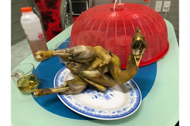 Loạt tác phẩm gà cúng trước thềm Festival âm lịch Xem chừng có nhiều người  Tết này mất vui chỉ vì một con gà rồi
