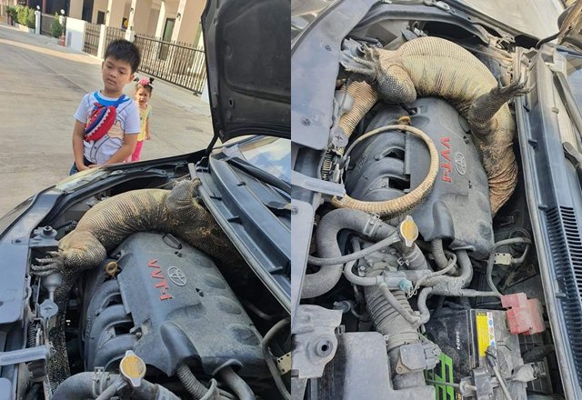 khong khoi dong duoc o to, nguoi dan ong choang vang khi mo nap capo - 3