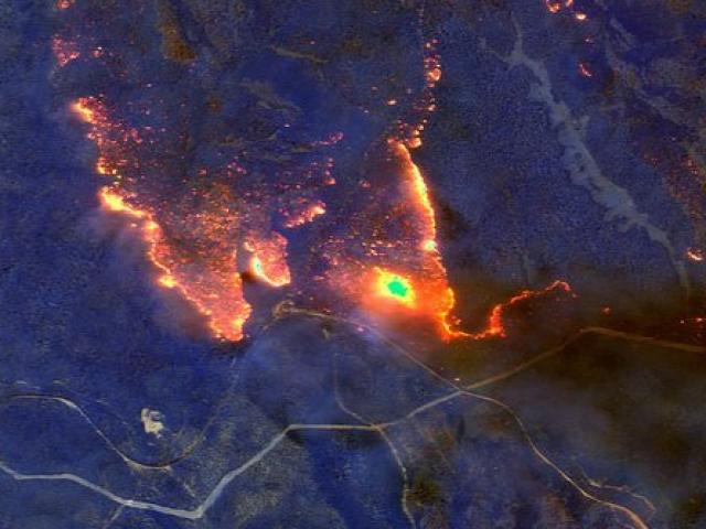 Những hình ảnh khiến người xem rớt nước mắt trong đại thảm họa cháy rừng ở Australia