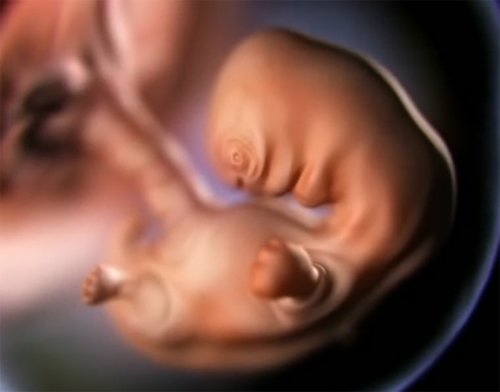 Cuộc sống bí ẩn của thai nhi 3 tháng đầu ít ai nói cho mẹ bầu biết