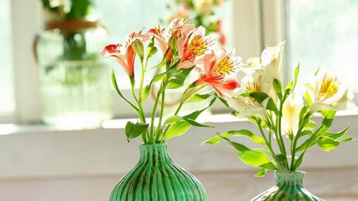 Hoa Thủy Tiên - Hình ảnh, ý nghĩa và cách trồng loài hoa đẹp dịu dàng Hoa Thủy Tiên - Hình Ảnh, Ý Nghĩa Và Cách Trồng Loài Hoa Đẹp Dịu Dàng