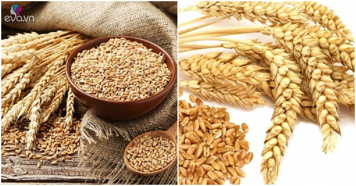 Sinh tố lúa mạch có tác dụng đối với sức khỏe và trong làm đẹp ?
