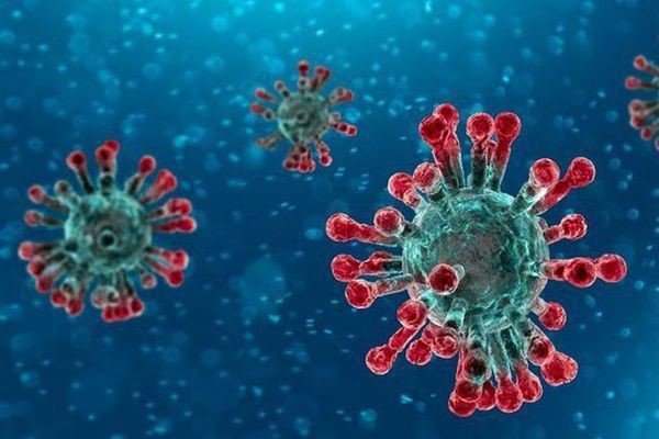 phong ngua virus corona theo khuyen cao cua who va bo y te - 1