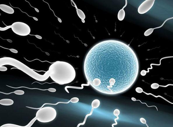 Quan hệ xuất tinh ra ngoài có thai không? Liệu có an toàn không? - 1