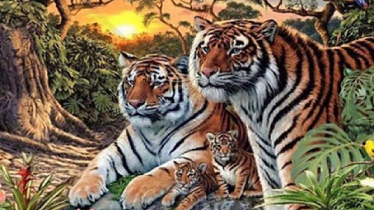 Có bao nhiêu con hổ trong bức tranh này?