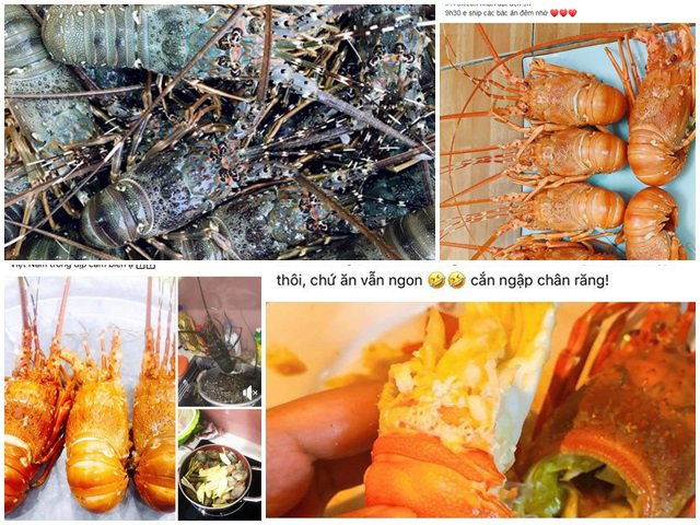 Tôm hùm giải cứu giá siêu rẻ chỉ từ 160.000 đồng/con, chị em đặt mua tới tấp ăn cho đã