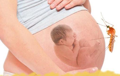 Bà bầu bị sốt xuất huyết có nguy hiểm, gây dị tật thai nhi không? - 1