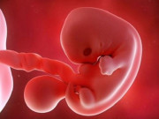 Nguyên nhân thai lưu và các dấu hiệu nhận biết thai lưu sớm