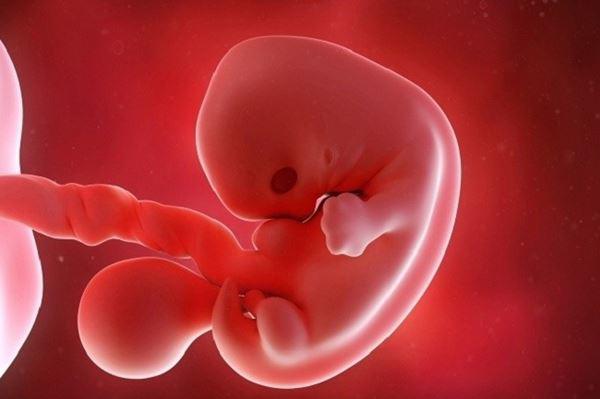 Nguyên nhân thai lưu và các dấu hiệu nhận biết thai lưu sớm - 3