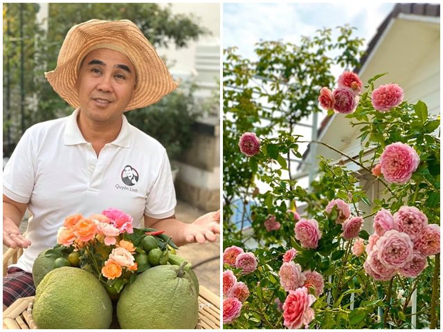Ở nhà tránh dịch, Quyền Linh cùng vợ con lên sân thượng gỡ khoai lang, thu hoạch hoa trái