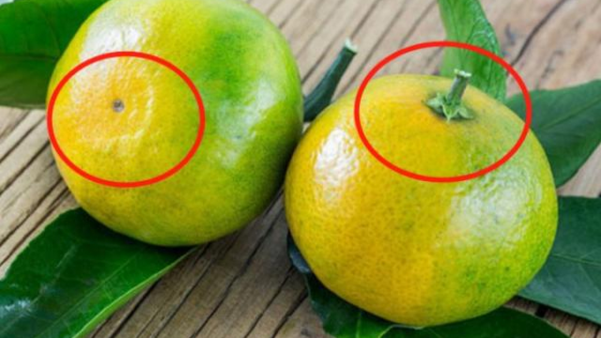 Cam ngọt: Hãy nhấn vào hình ảnh để đắm chìm trong vị ngọt ngào của cam. Đây là một loại trái cây chứa nhiều vitamin và chất chống oxy hóa. Hãy khám phá thêm về cam ngọt và các công dụng tuyệt vời của nó!