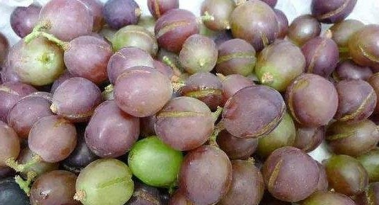Mua nho, đừng dại chọn 3 quả này, người bán không bao giờ ăn - 4