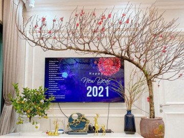 Chị em khoe cành đào tự cắm, thấy Tết đến, Xuân về đến cửa