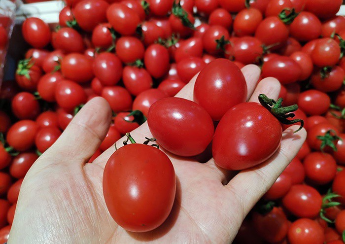 Mua cà chua bi nên chọn ᵭáy tròn hay nhọn, ᵭầu bḗp mách mẹo chọn quả ᵭḕu ngọt và ngon - 3