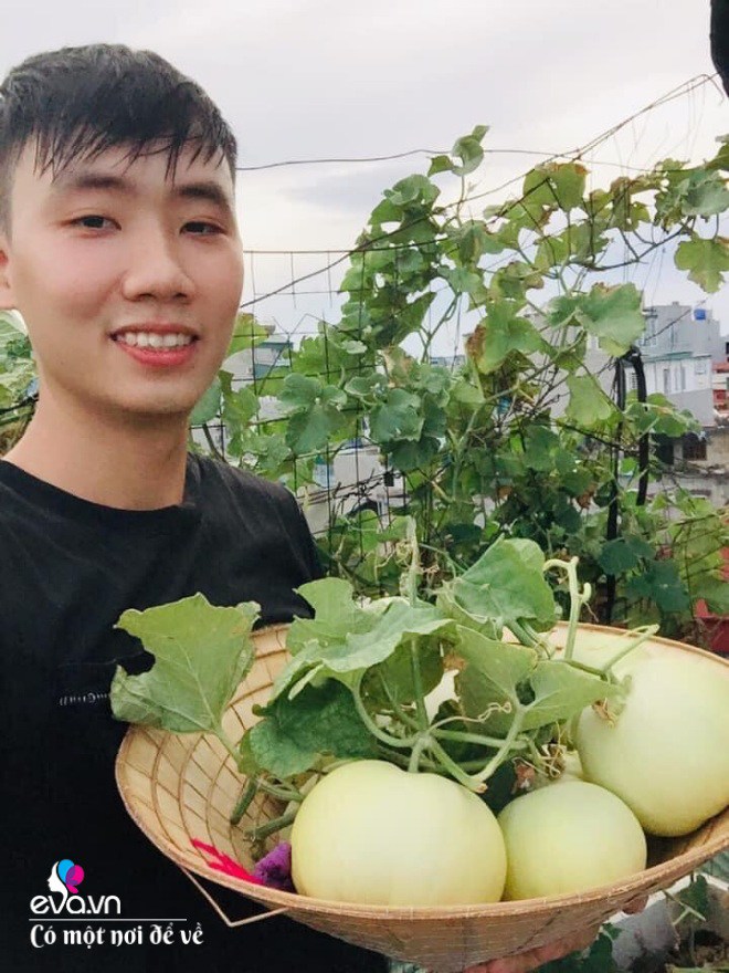 Giữa lòng thủ đô, thanh niên làm vườn ao chuồng, thu về cả tạ cá, cà chua, su hào...đủ loại - 3
