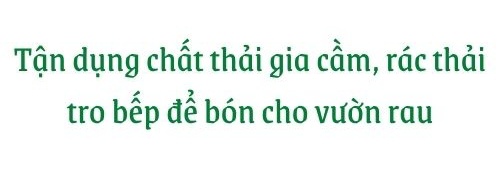 Giữa lòng thủ đô, thanh niên làm vườn ao chuồng, thu về cả tạ cá, cà chua, su hào...đủ loại - 14