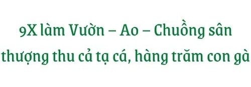 Giữa lòng thủ đô, thanh niên làm vườn ao chuồng, thu về cả tạ cá, cà chua, su hào...đủ loại - 5