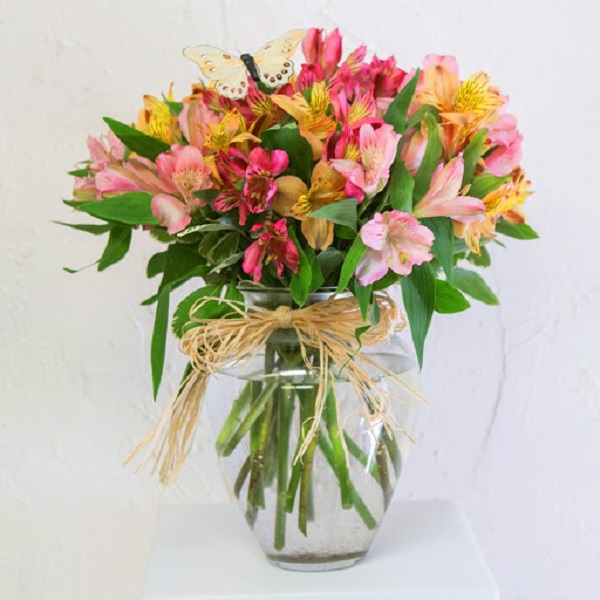 Hoa Thủy Tiên - Hình ảnh, ý nghĩa và cách trồng loài hoa đẹp dịu dàng