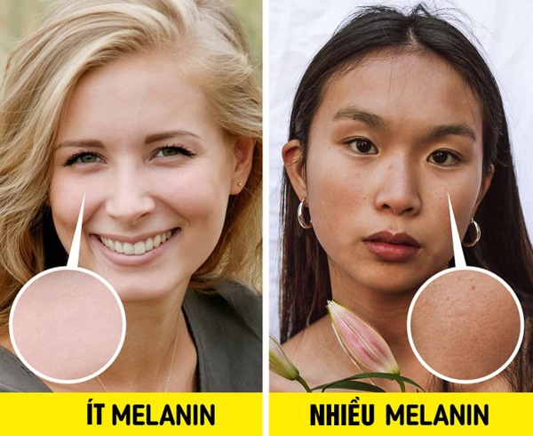 Phụ nữ châu Á luôn trông trẻ hơn so với tuổi, có thể nhờ gen đặc biệt này - 3