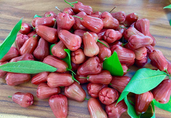 Chăm vườn mát tay, Lý Hải - Minh Hà thu hoạch quả đỏ mọng, xếp đầy 1 góc bàn - 7