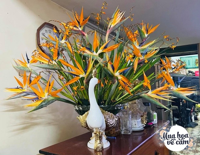 Mẹ Việt biến nhà rực sắc đón ngày 8/3, khoe muôn kiểu cắm hoa đẹp ...