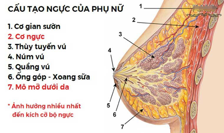 Lưu Diệc Phi leo top 1 tìm kiếm khi xuất hiện với hình ảnh amp;#34;hàng xương biểu tìnhamp;#34; - 11