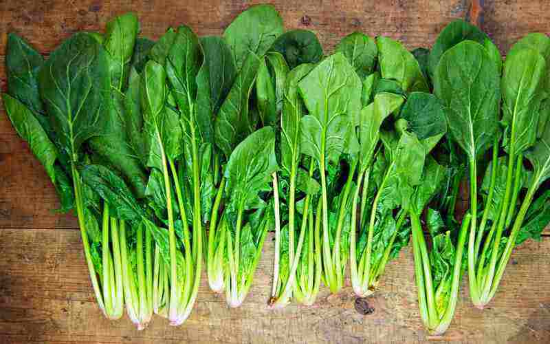 Ăn rau gì giảm cân? Các loại rau giúp giảm cân hiệu quả nhất