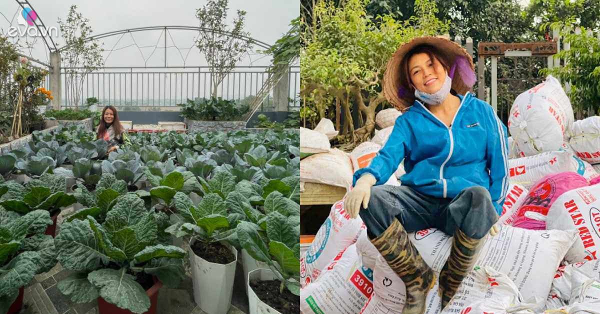 Read more about the article Làm vườn 300m2, bà chủ quán cà phê hoá nông dân khuân 100 bao đất trên sân thượng