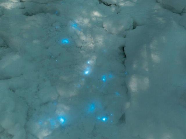 Tuyết phát quang màu xanh kỳ lạ ở Bắc Cực, cảnh tượng có 1-0-2