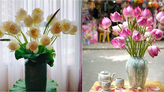 5 loại hoa mang ý nghĩa tài lộc, rằm tháng Chạp nên mua cắm - 6