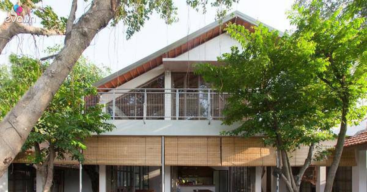 Read more about the article Chiêm ngưỡng nhà mái ngói lấy cây xanh làm “xương sống” đạt giải Vàng kiến trúc năm 2021