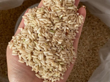Loại gạo ai cũng thích chọn nấu cơm hóa ra lại dễ mất sạch dinh dưỡng, thậm chí gây hại