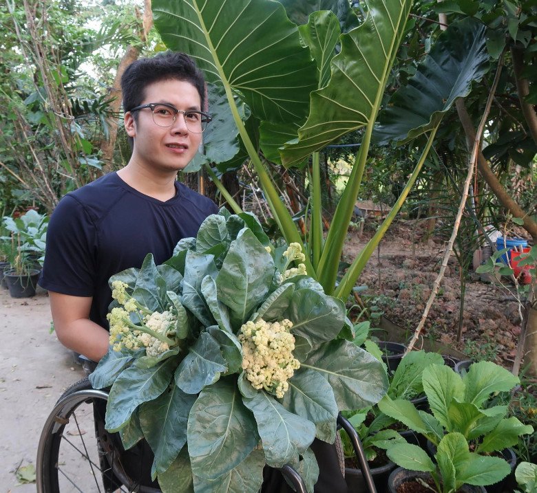 Chàng trai đi xe lăn chăm vườn 60m2, gia đình không cần mua rau, còn dư mang cho hàng xóm - 1