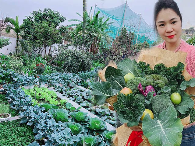 Mẹ bốn con Quảng Ninh làm vườn rộng 300m2, cắm hoa bằng rau củ độc lạ, đẹp như hoa tươi