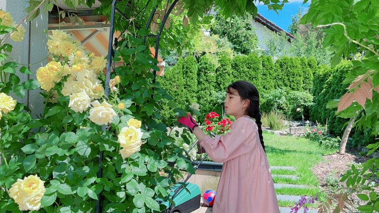 Mẹ Việt trồng đủ loại hoa hồng ở Đức, khu vườn 300m2 đẹp như truyện cổ tích - 4