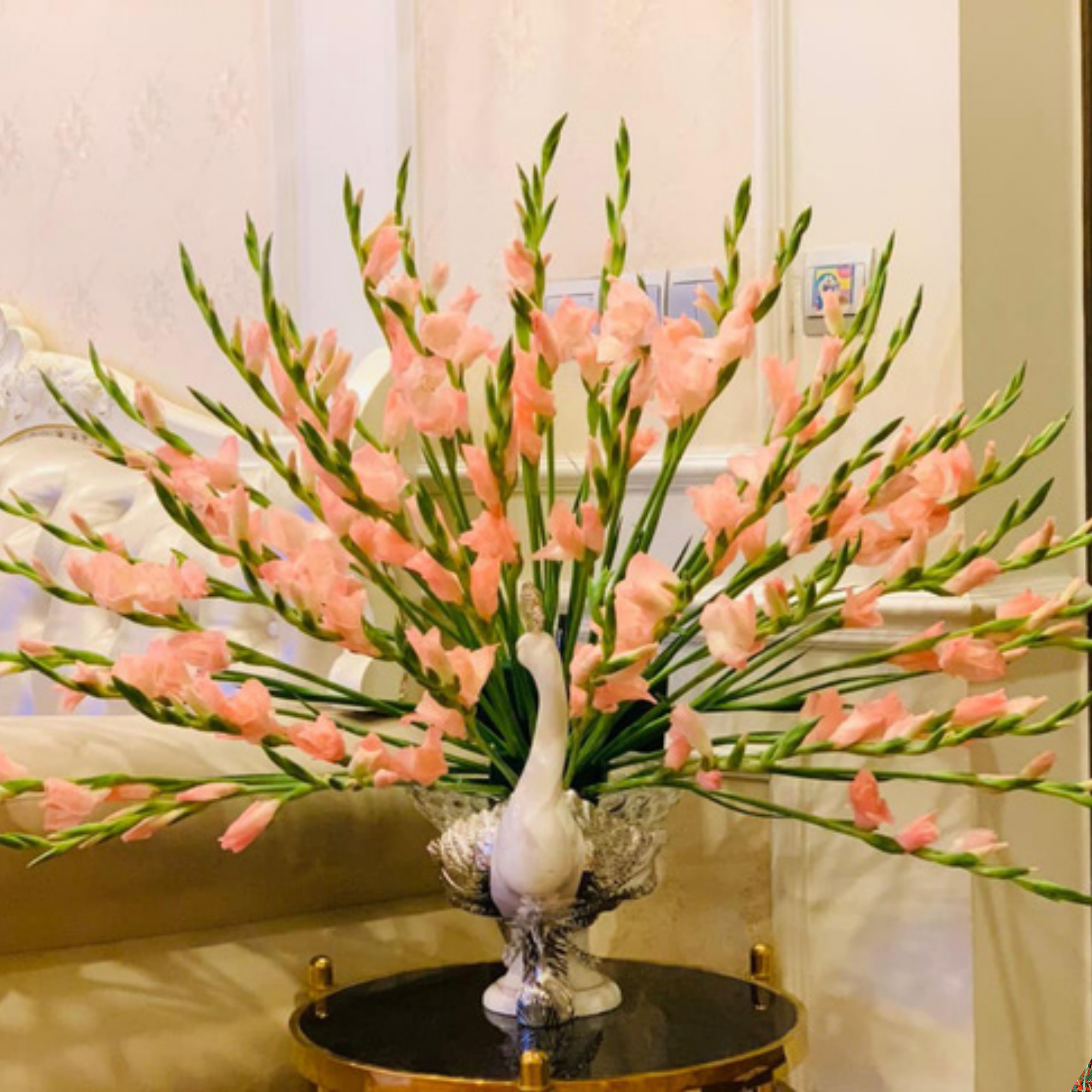 Cắm Hoa Lay Ơn Đón Tết Cứ Nhỏ Vài Giọt Này Vào Thì Đến Rằm Tháng Giêng Hoa  Vẫn Tươi Roi Rói Không Sợ Thối Gốc
